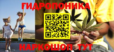 прущие крисы Краснознаменск